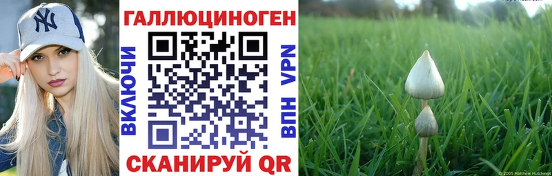 Псилоцибиновые грибы ЛСД Звенигород