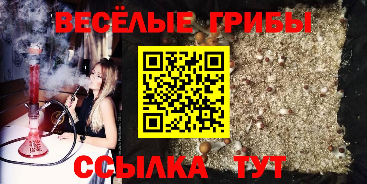 Галлюциногенные грибы мухоморы  Галлюциногенные грибы Cubensis  Звенигород  Вход с VPN 
