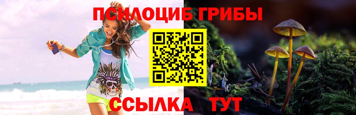 Псилоцибиновые грибы Magic Shrooms Звенигород